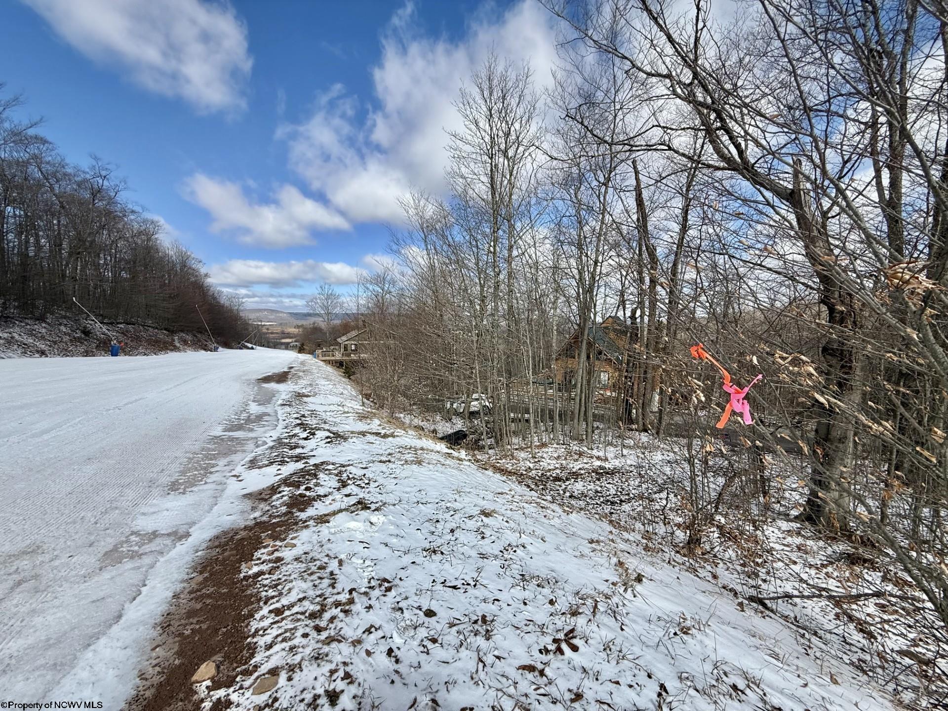 29 Ski In Avenue Davis, WV 26260 - Photo 3 of 9 Gallery Image 3