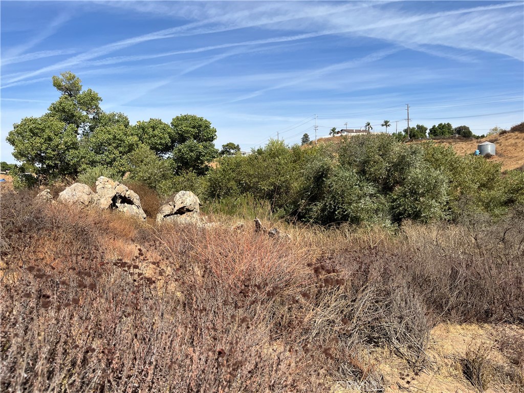 0 Menifee Road Murrieta, CA 92563 - Photo 13 of 20 a view of a bunch of trees in a field