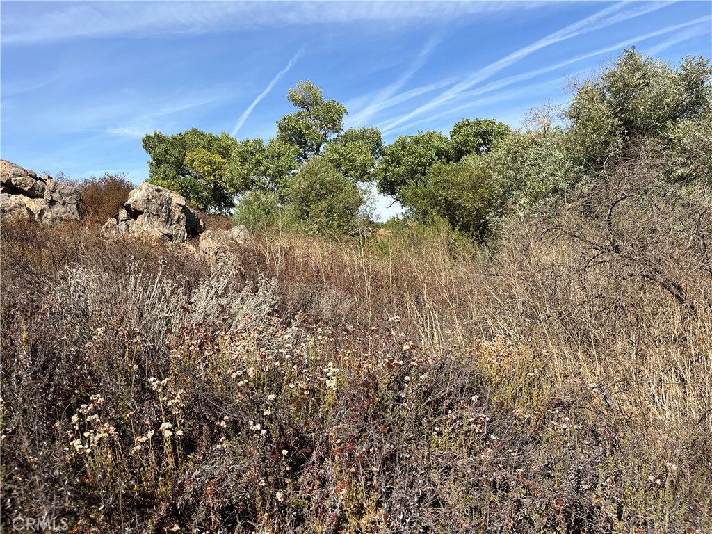 0 Menifee Road Murrieta, CA 92563 - Photo 16 of 20 a view of a bunch of trees and bushes