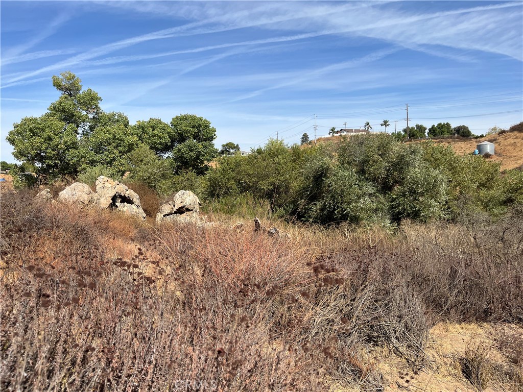 0 Menifee Road Murrieta, CA 92563 - Photo 17 of 20 a view of a bunch of trees in a field