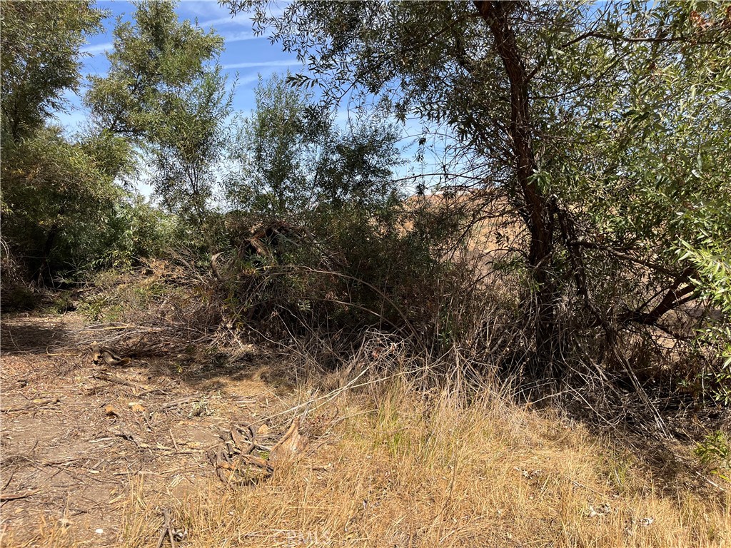 0 Menifee Road Murrieta, CA 92563 - Photo 20 of 20 a view of a yard with a tree