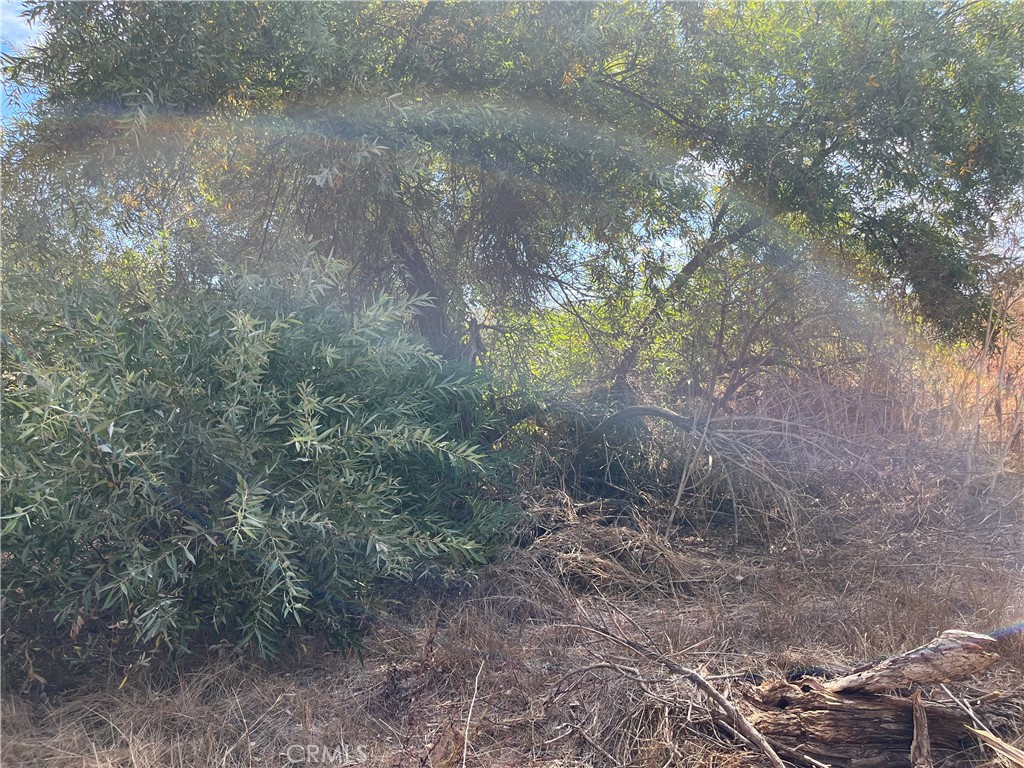 0 Menifee Road Murrieta, CA 92563 - Photo 2 of 20 a view of a forest with lots of trees