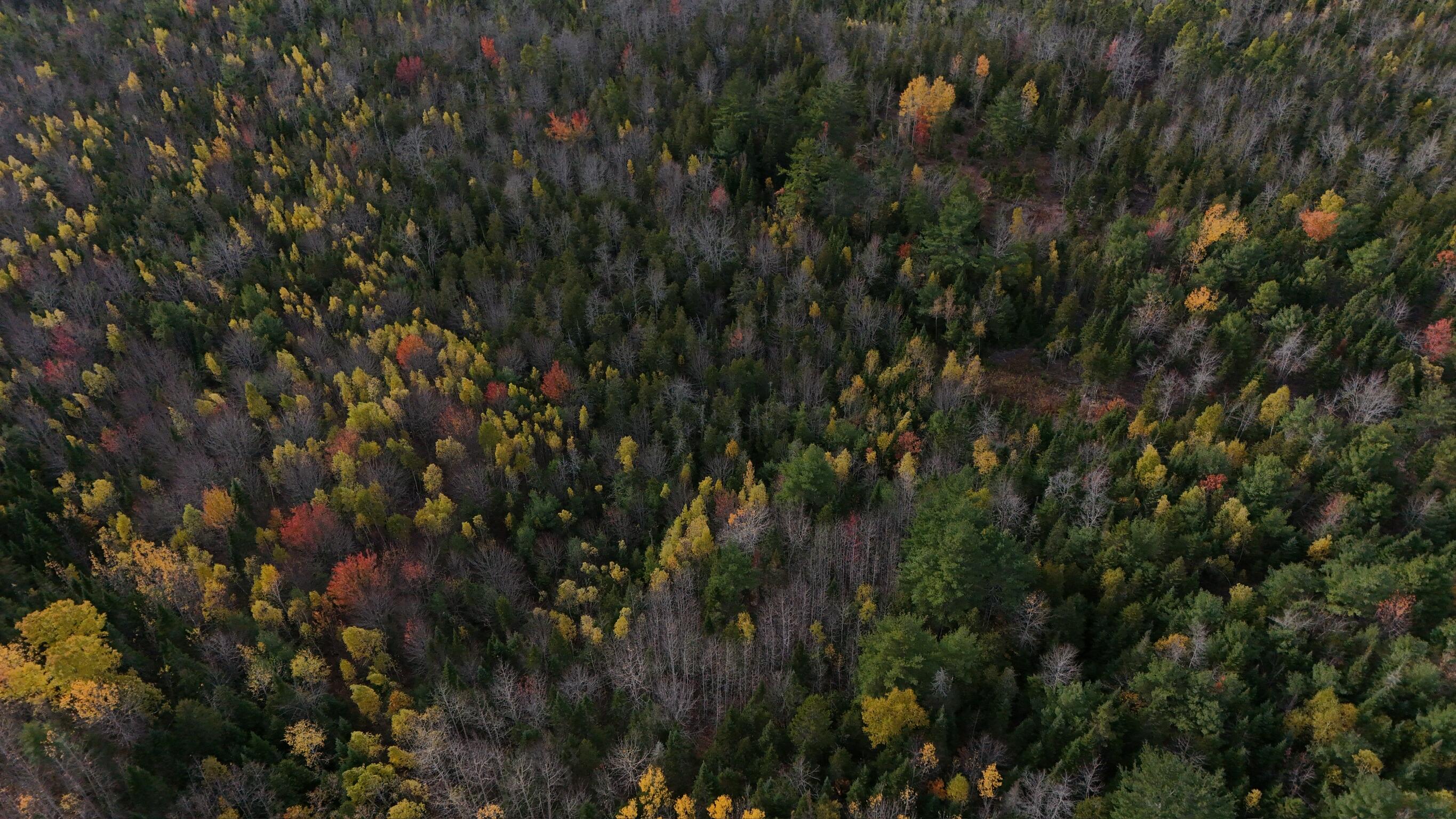 0 Babcock Road Newburgh, ME 04444 - Photo 31 of 52