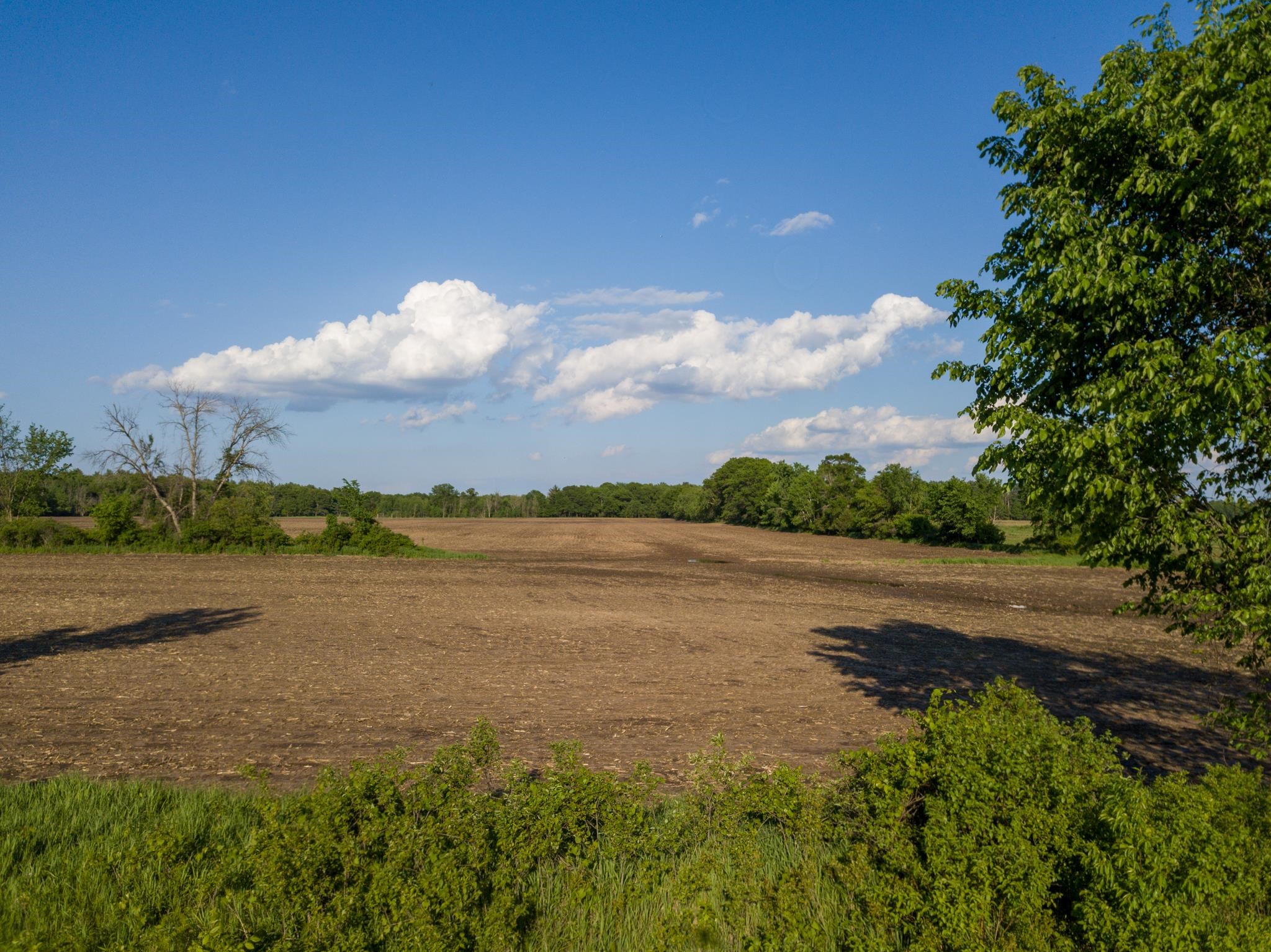 6-acres 6-acres 8th New Lisbon Wi  