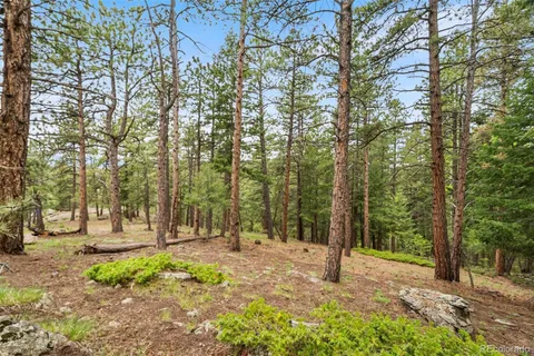 $450,000 | 5825 High Drive, Evergreen, CO 80439