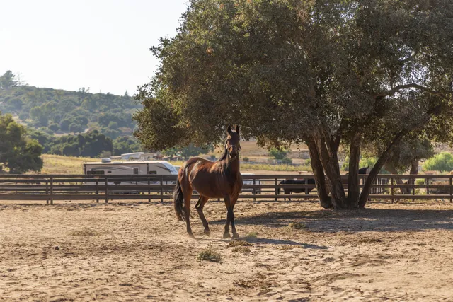 $2,295,000 | 2714 Cebada Canyon Road, Lompoc, CA 93436