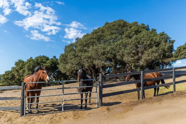 $2,295,000 | 2714 Cebada Canyon Road, Lompoc, CA 93436