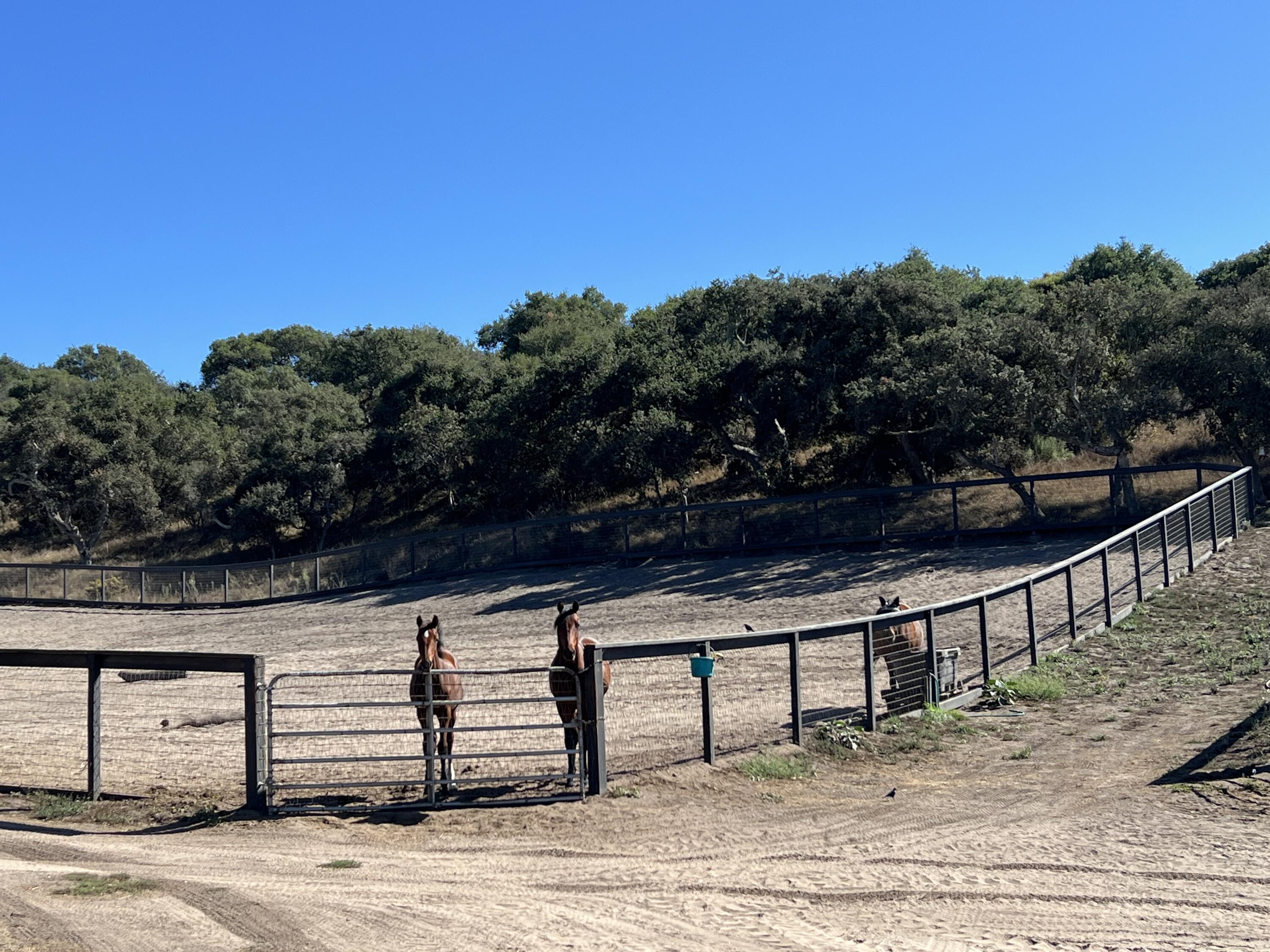 2714 Cebada Canyon Road Lompoc, CA 93436 - Photo 7 of 33 2714 Cebada Canyon Road