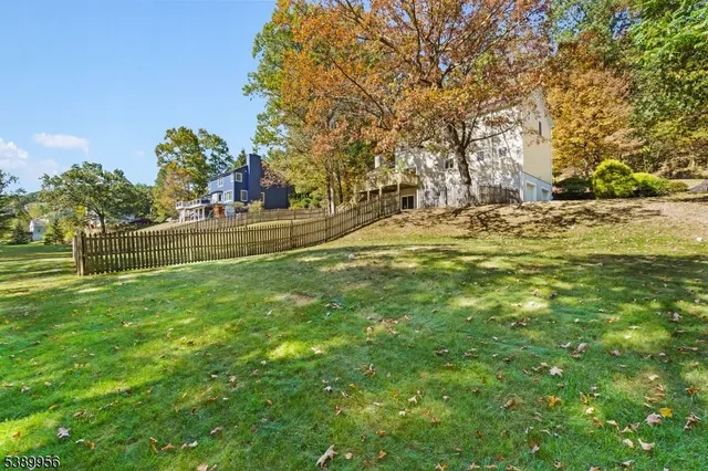 a view of a field with large trees