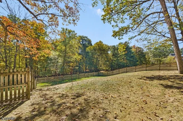 a view of a yard with large trees