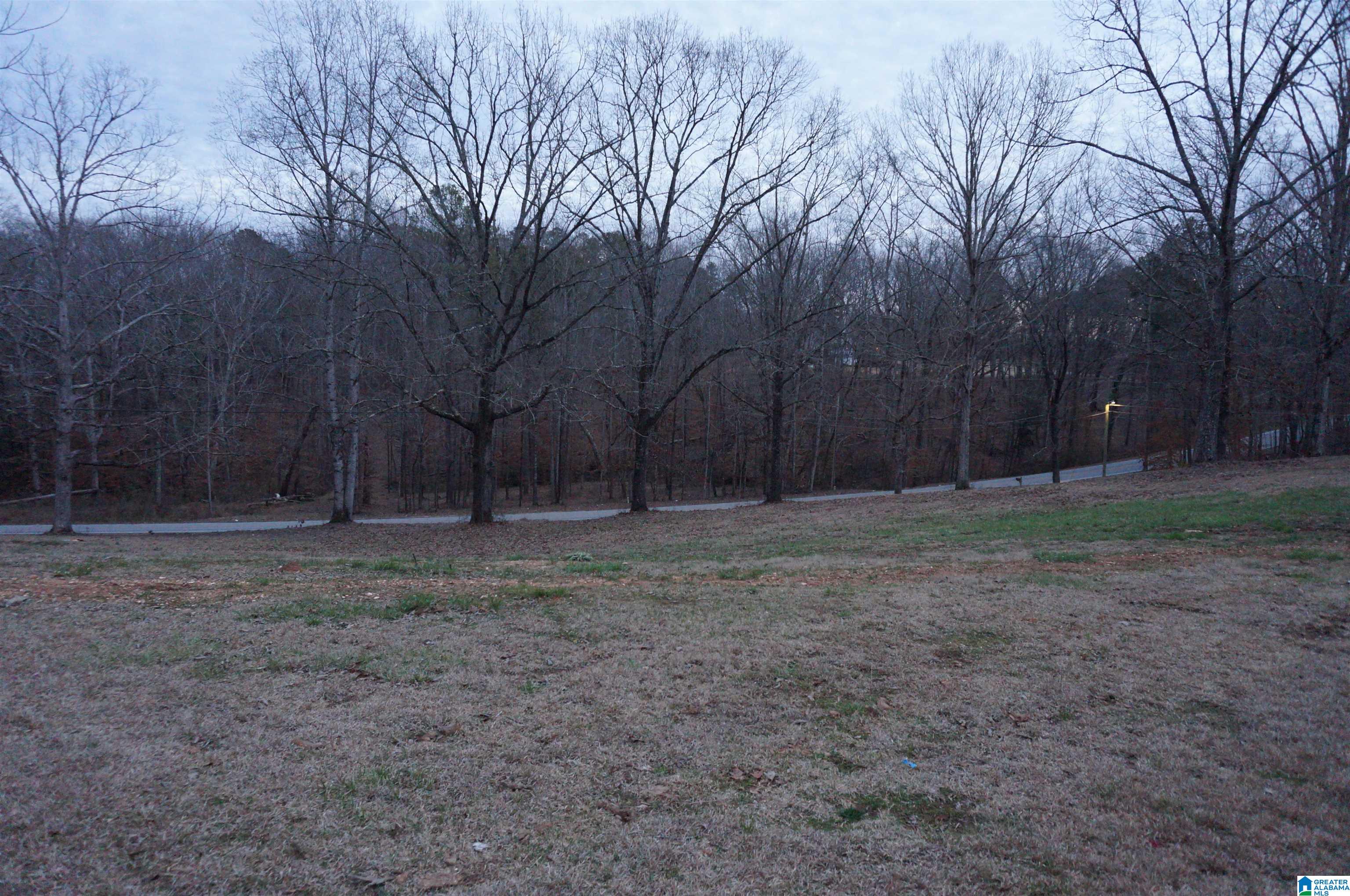 95 New County Line Road Sylacauga, AL 35151 - Photo 10 of 28