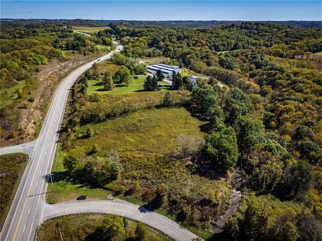 a view of a garden with a pathway