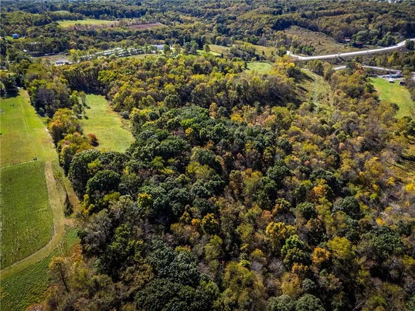 an aerial view of residential houses with outdoor space and trees