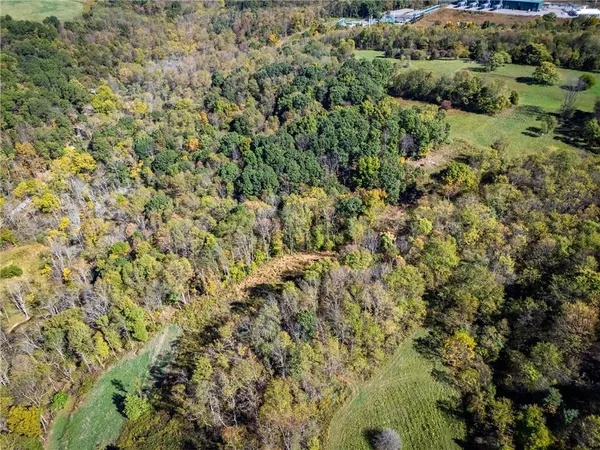 a view of a forest