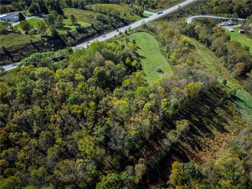 0 Freedom Crider Road Freedom, PA 15042 - Photo 43 of 50 a view of a garden with a lush green forest