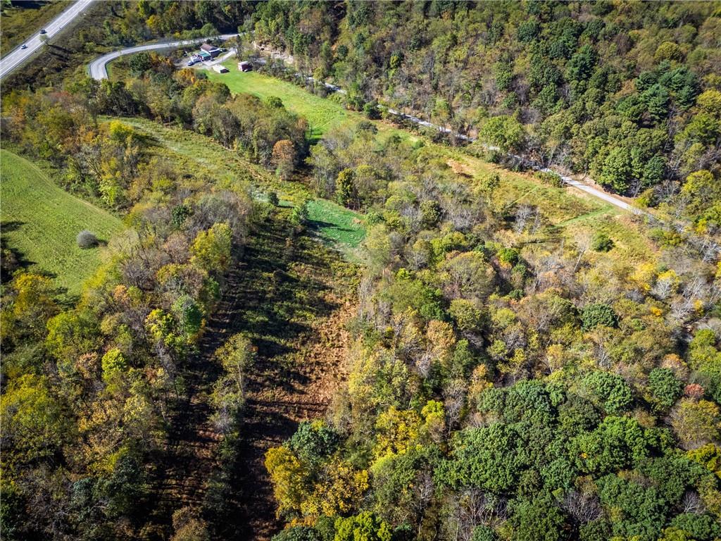 0 Freedom Crider Road Freedom, PA 15042 - Photo 44 of 50 a view of a forest