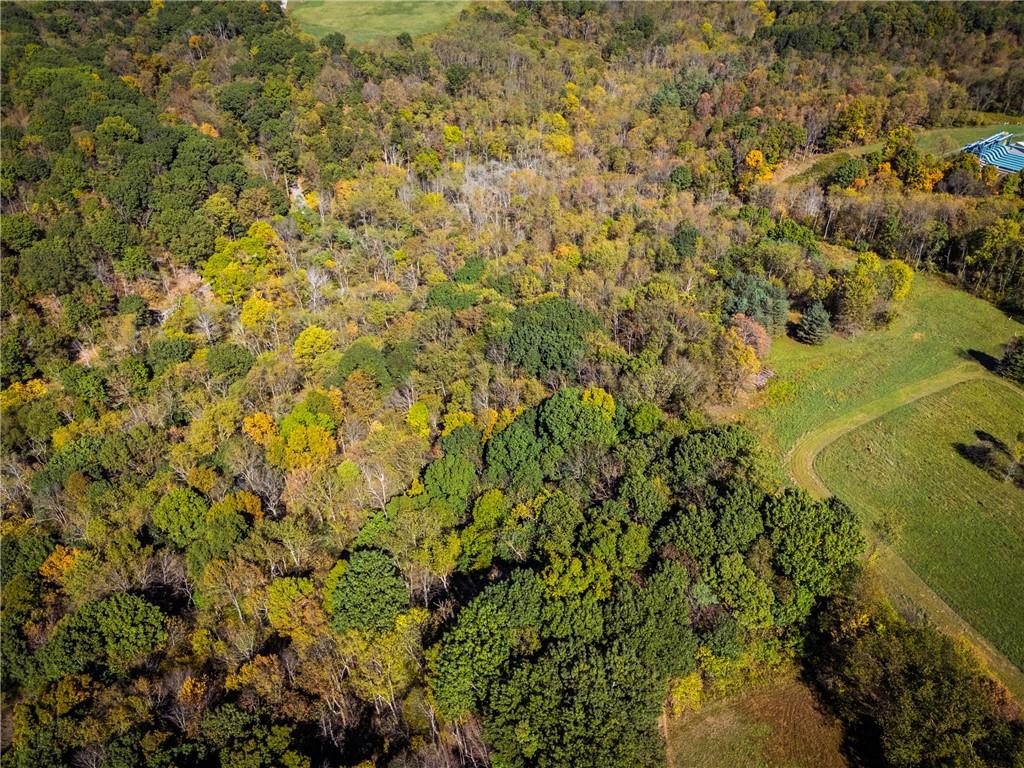 0 Freedom Crider Road Freedom, PA 15042 - Photo 45 of 50 a view of a yard