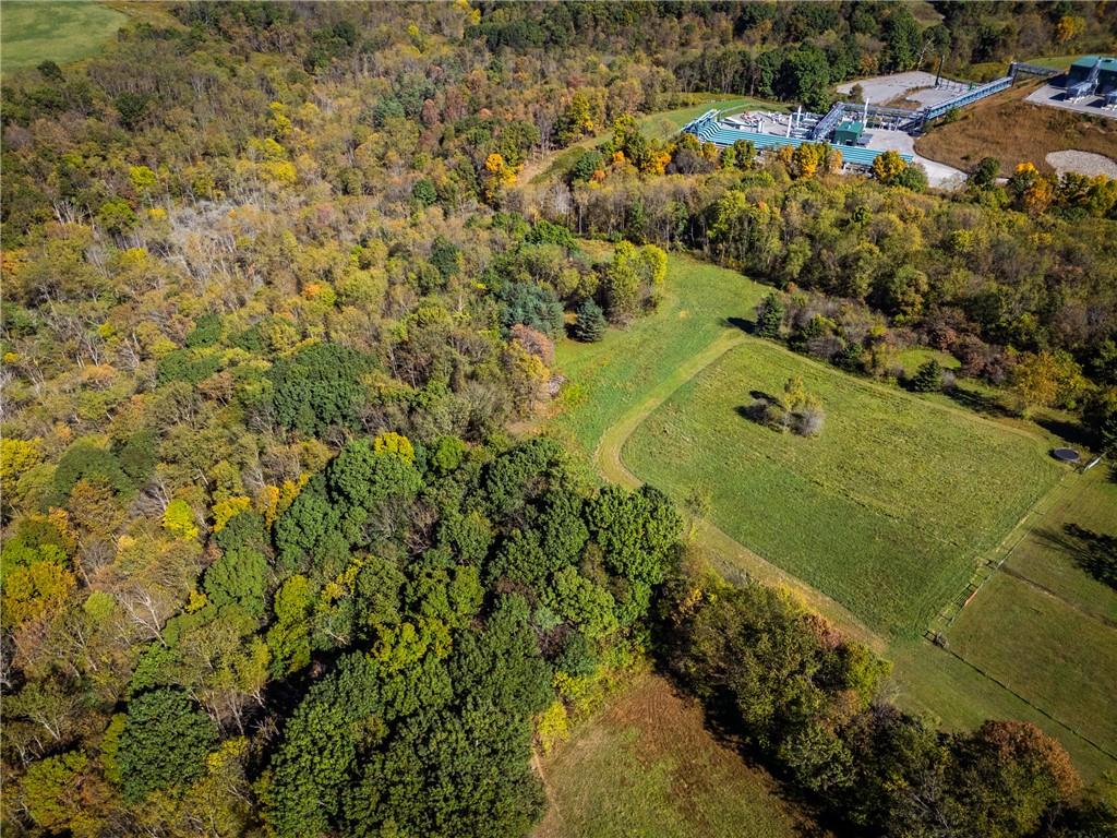 0 Freedom Crider Road Freedom, PA 15042 - Photo 46 of 50 a view of a yard with plants