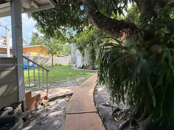 a view of a yard with plants and large tree