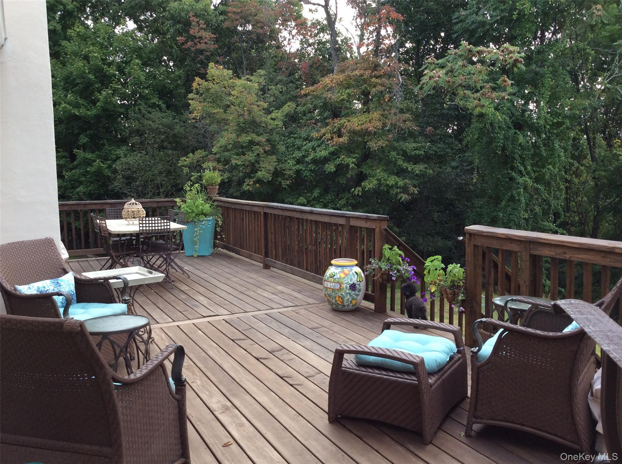 107 Pine Hill Road Chester, NY 10918 - Photo 24 of 33