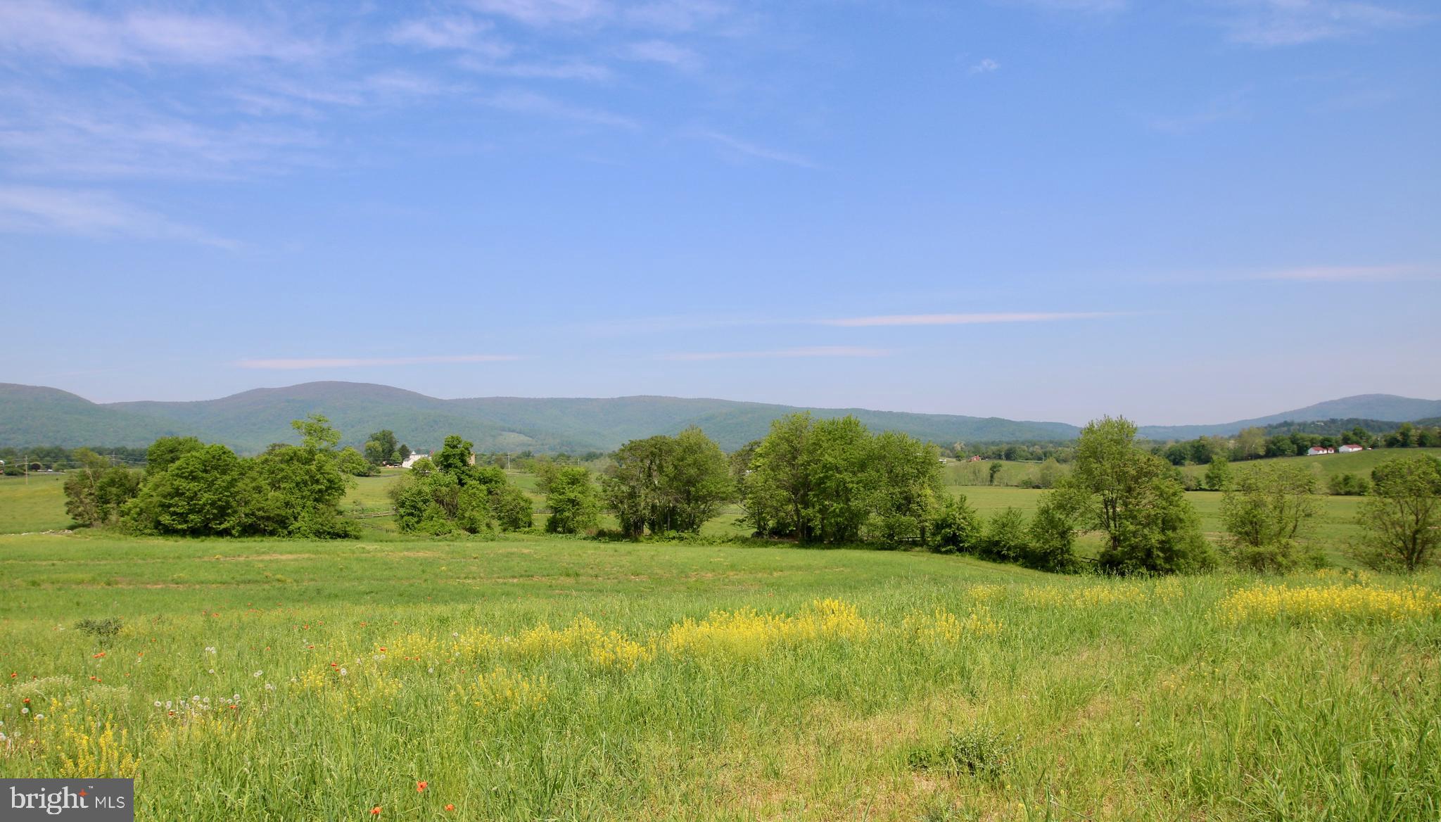 2 Jericho Road Flint Hill, VA 22627 - Photo 7 of 21 Gallery Image 7