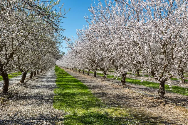 $2,999,000 | 4549 Mc Gee Avenue, Modesto, CA 95357