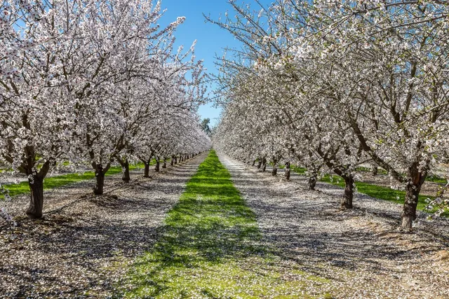 $2,999,000 | 4549 Mc Gee Avenue, Modesto, CA 95357