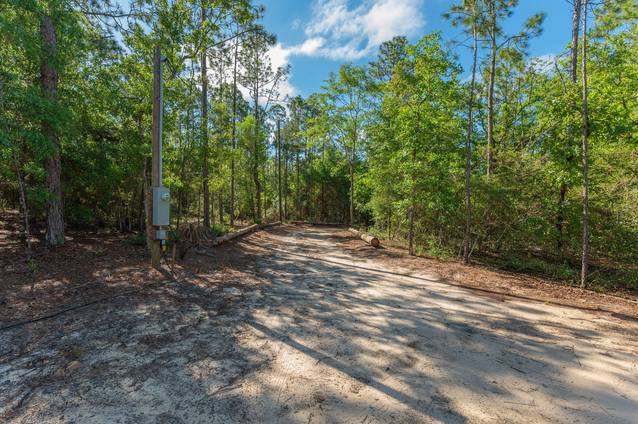 4449 Yellow Bluff Road Crestview, FL 32539 - Photo 3 of 42 a view of outdoor space and yard