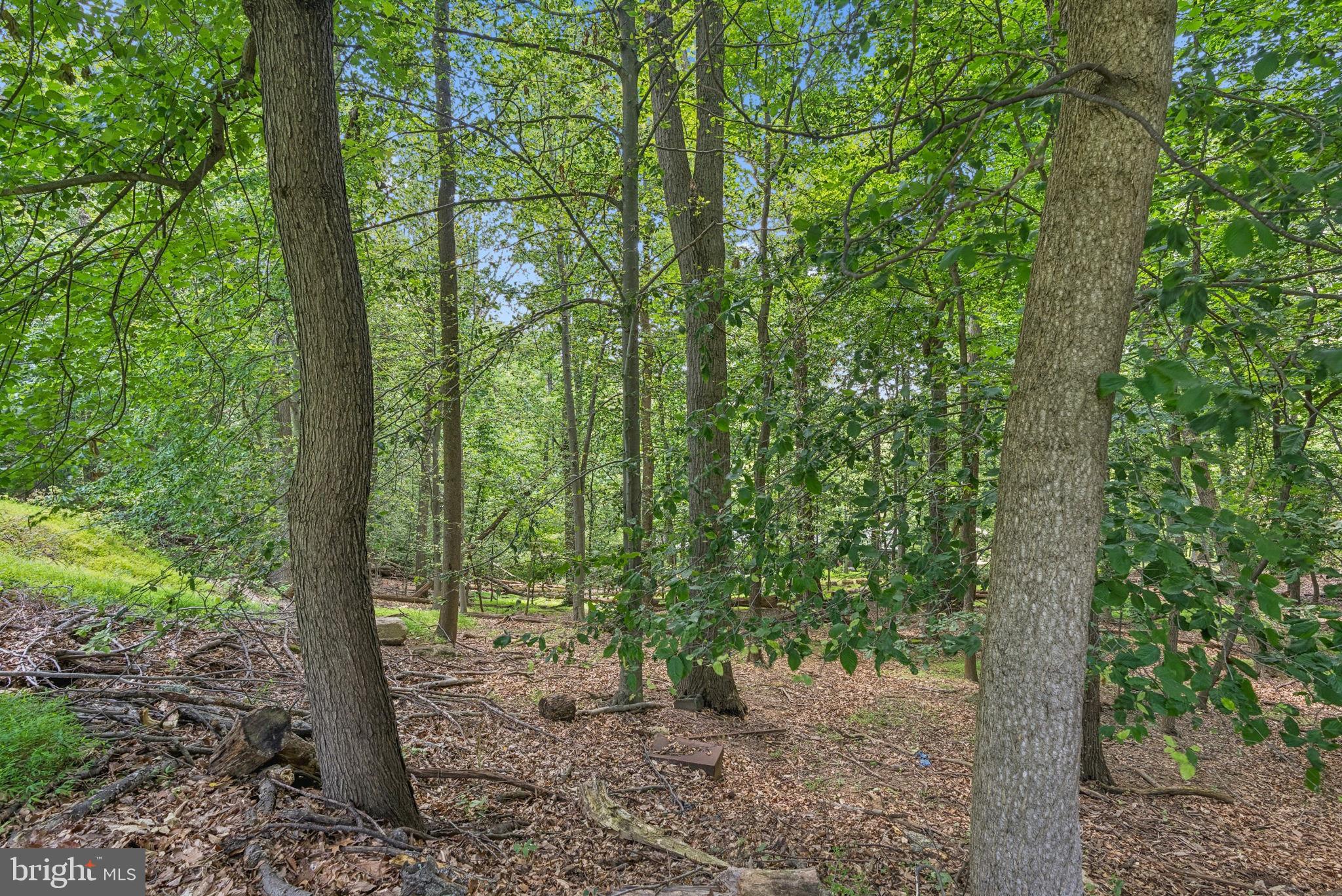 1316 Providence Road Towson, MD 21286 - Photo 33 of 51