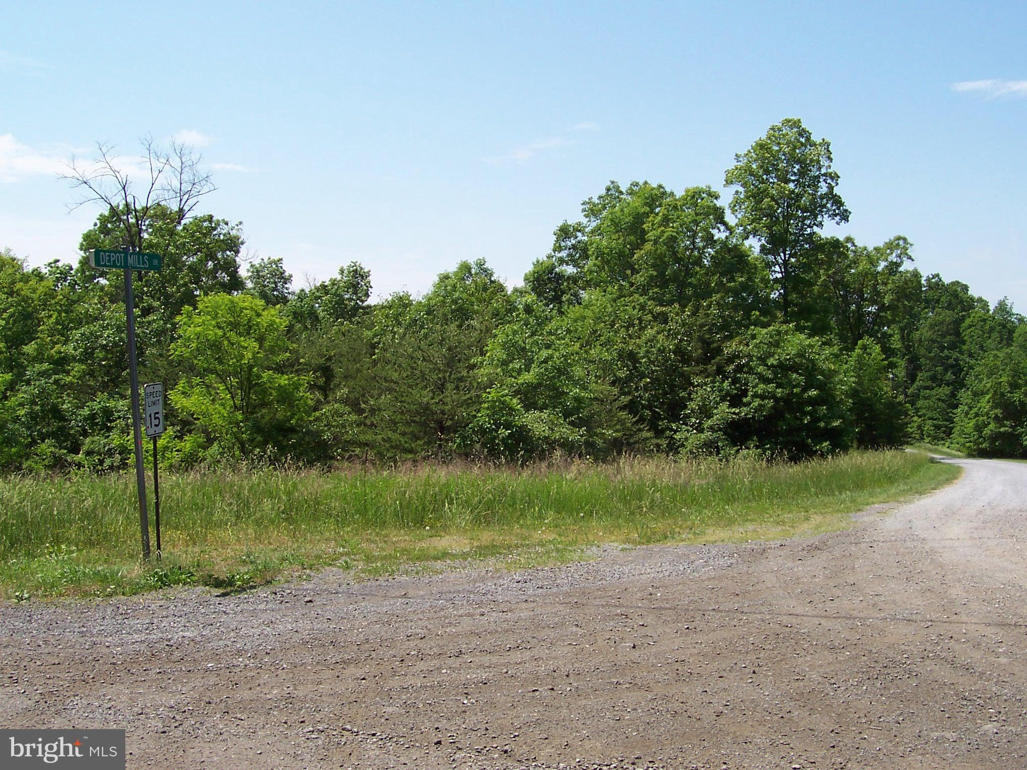 0 Jenkins Road Gerrardstown, WV 25420 - Photo 2 of 4