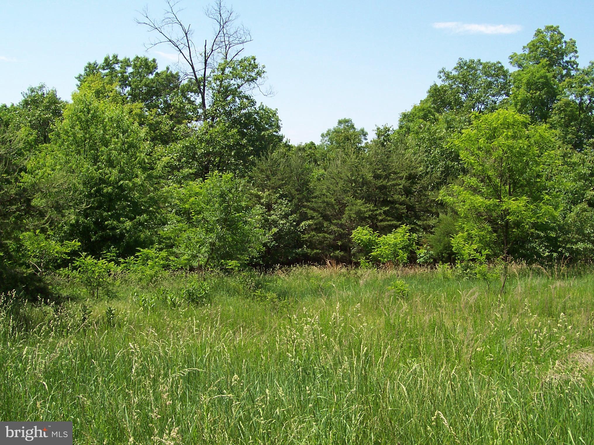 0 Jenkins Road Gerrardstown, WV 25420 - Photo 3 of 4