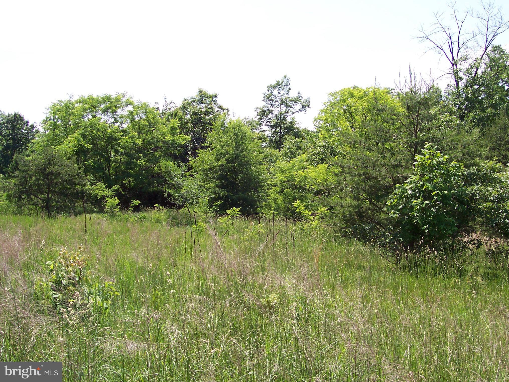 0 Jenkins Road Gerrardstown, WV 25420 - Photo 4 of 4