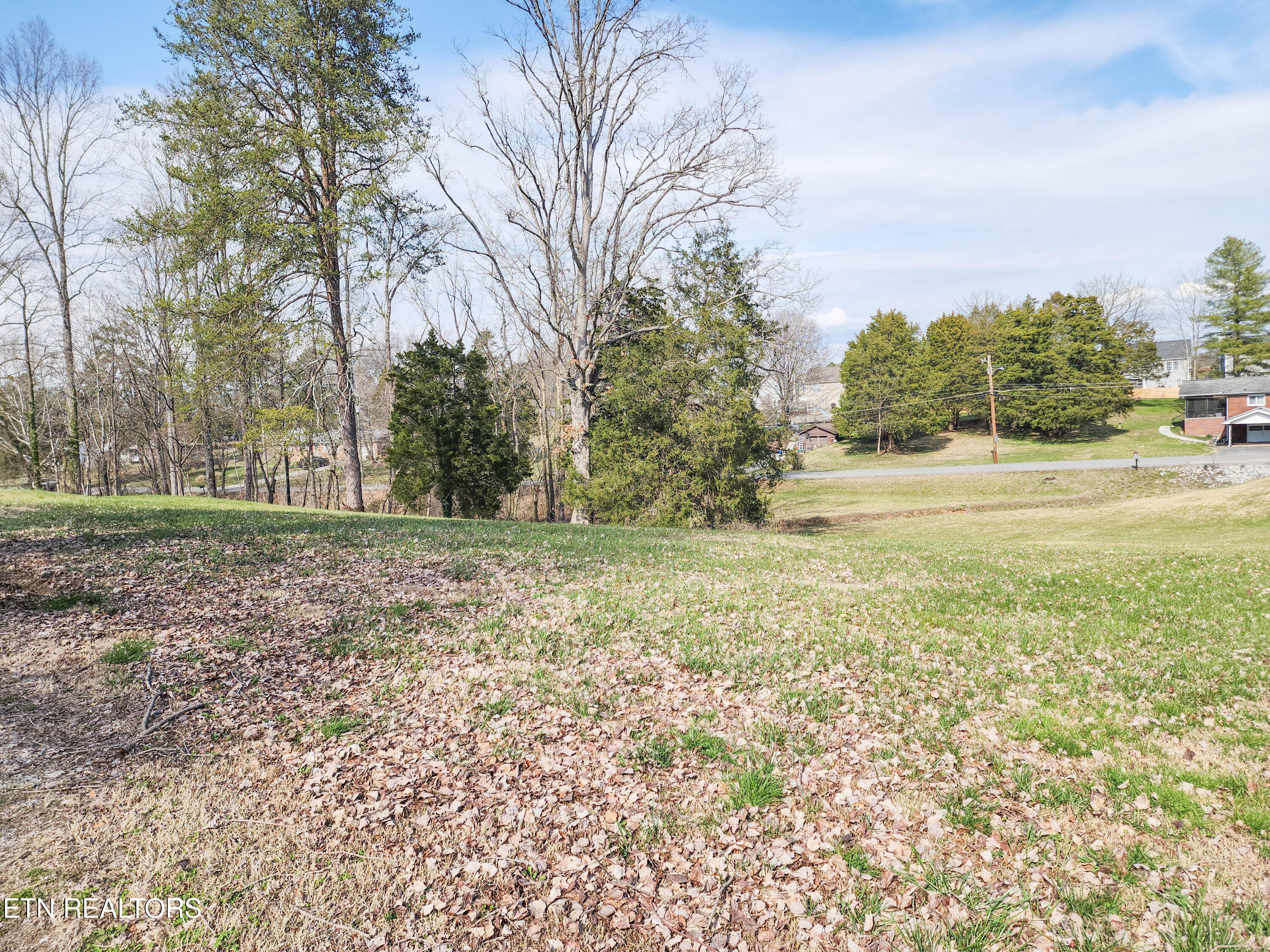 4127-4129 Crippen Road Knoxville, TN 37918 - Photo 41 of 41 crippen property 3