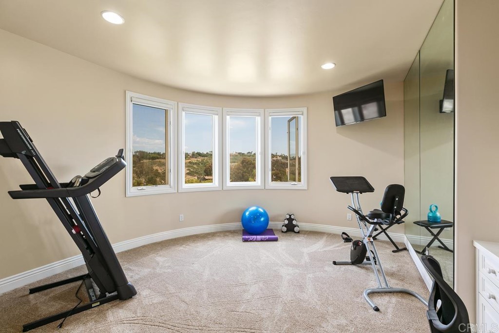 970 Dove Run Road Encinitas, CA 92024 - Photo 27 of 31