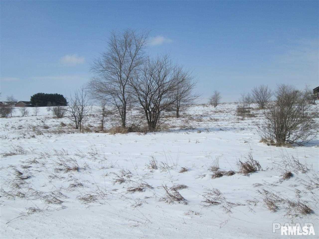 North Wayne Road Chillicothe, IL 61523 - Photo 11 of 12 Gallery Image 11