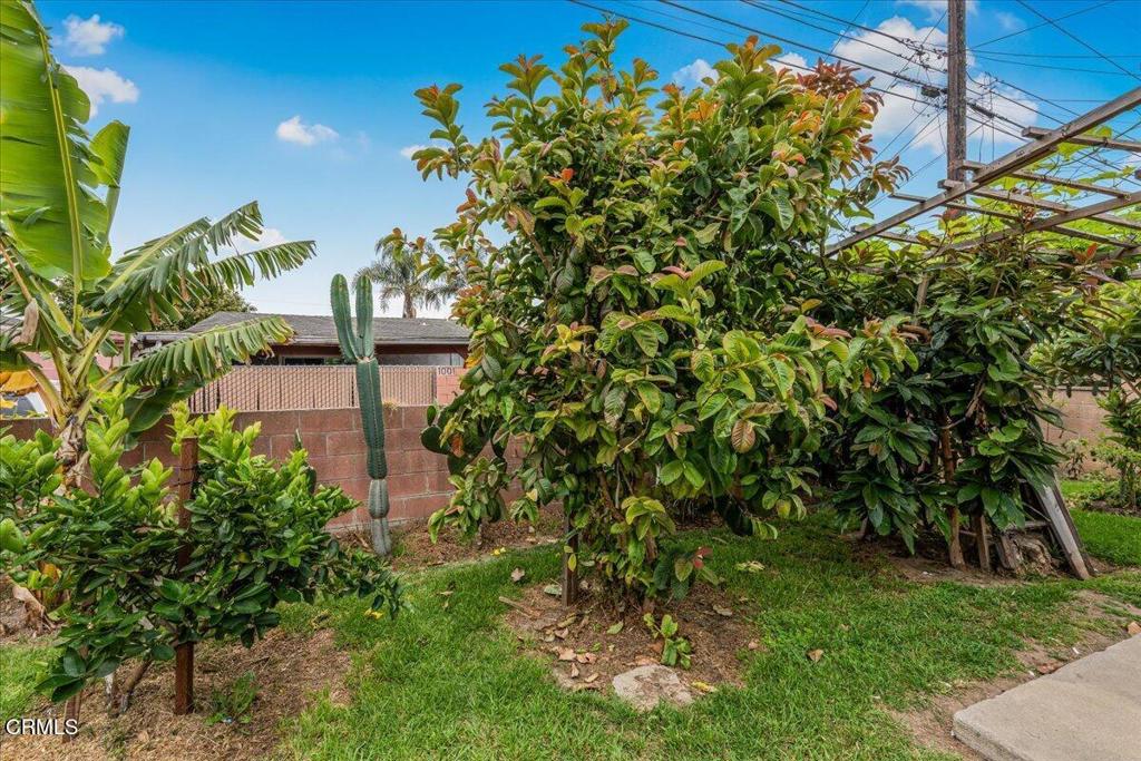 970 Laurel Street West Oxnard, CA 93033 - Photo 39 of 40 a backyard of a house with lots of green space