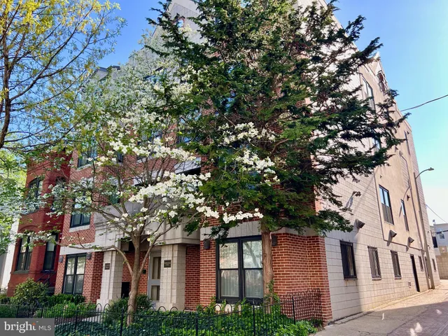 front view of a house with a tree