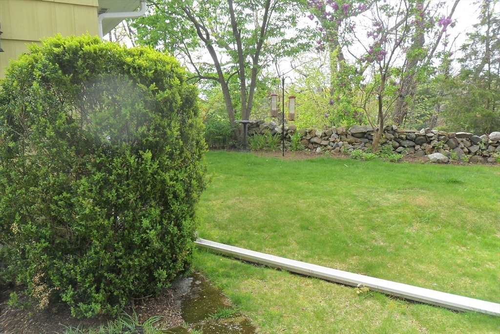 295 A Winter Street Ashland, MA 01721 - Photo 19 of 20 a view of outdoor space and yard