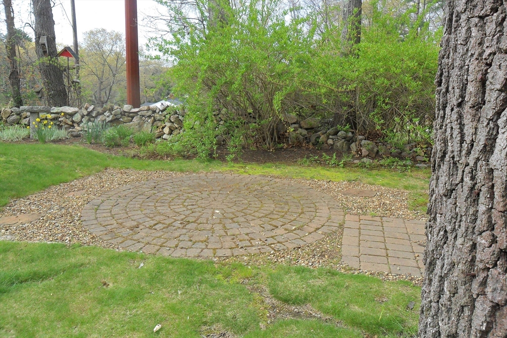 295 A Winter Street Ashland, MA 01721 - Photo 20 of 20 a view of garden