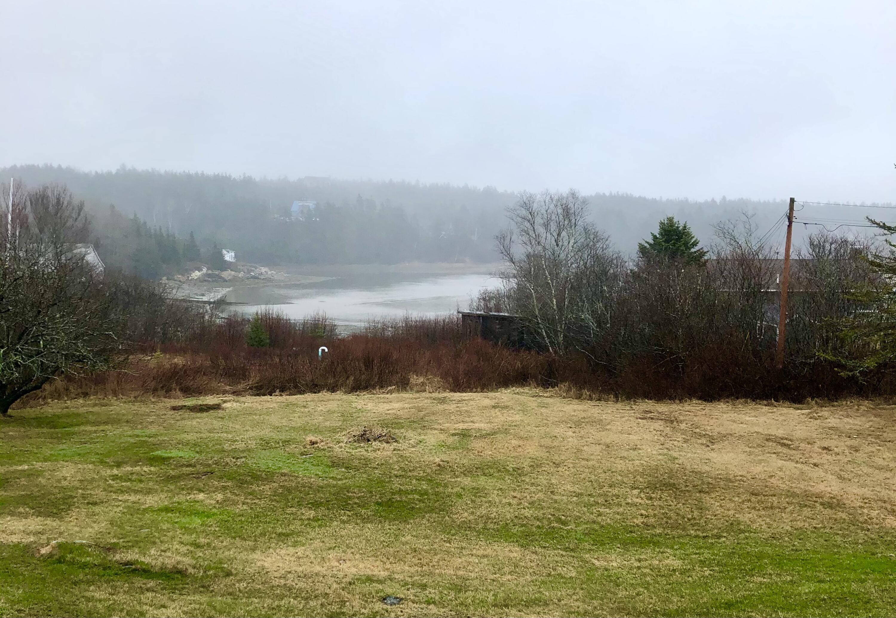 32 Clark Point Road Tremont, ME 04612 - Photo 16 of 62 View looking towards the cove