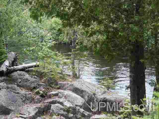 Tbd Off Floodwood Road Republic, MI 49879 - Photo 8 of 15