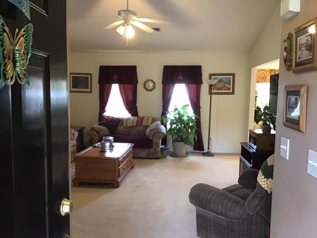 953 Bushberry Road Pelion, SC 29123 - Photo 22 of 54