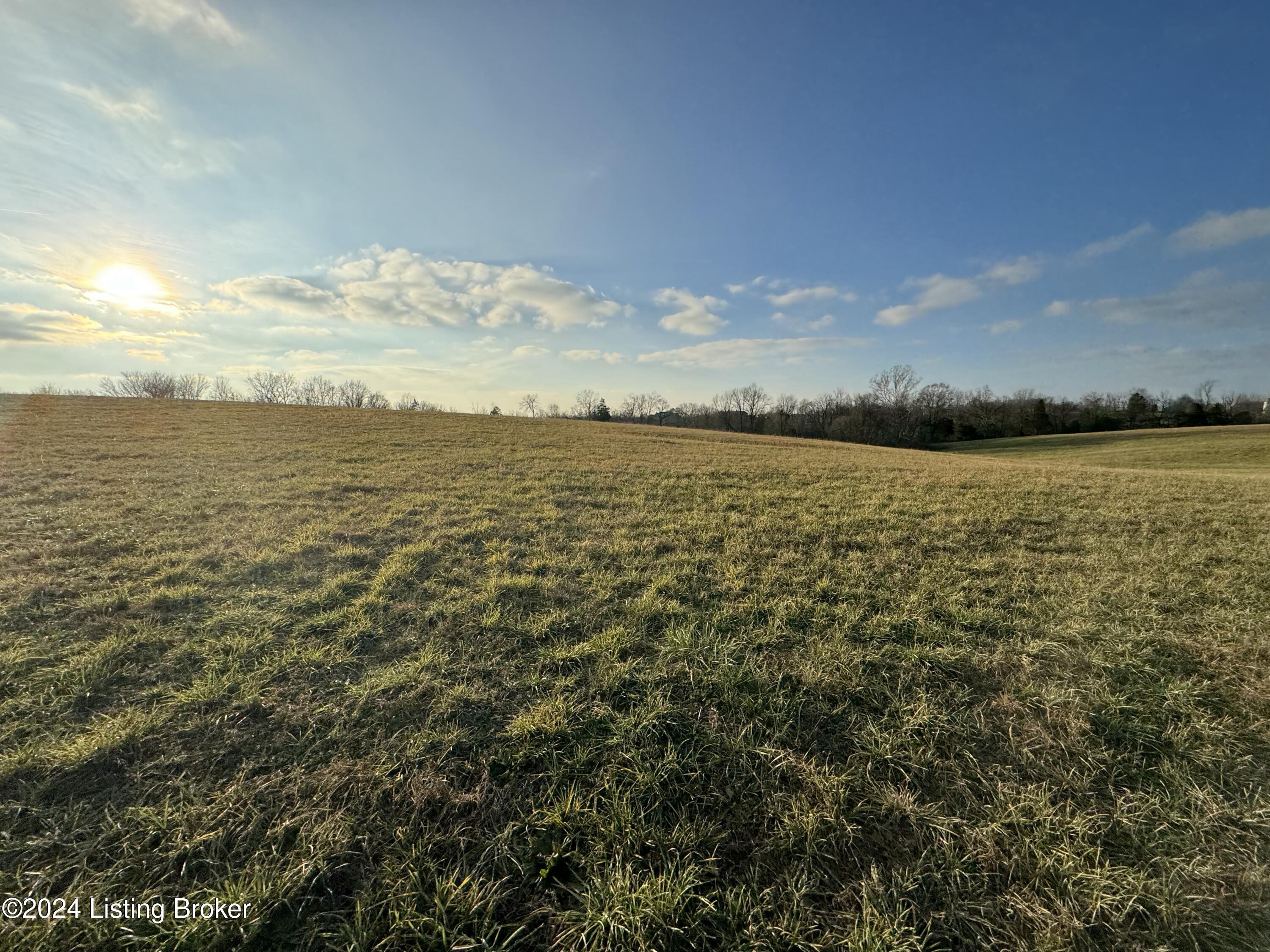 Lot 4 Mt Eden Road Waddy, KY 40076 - Photo 13 of 15 tempImage8osUXR