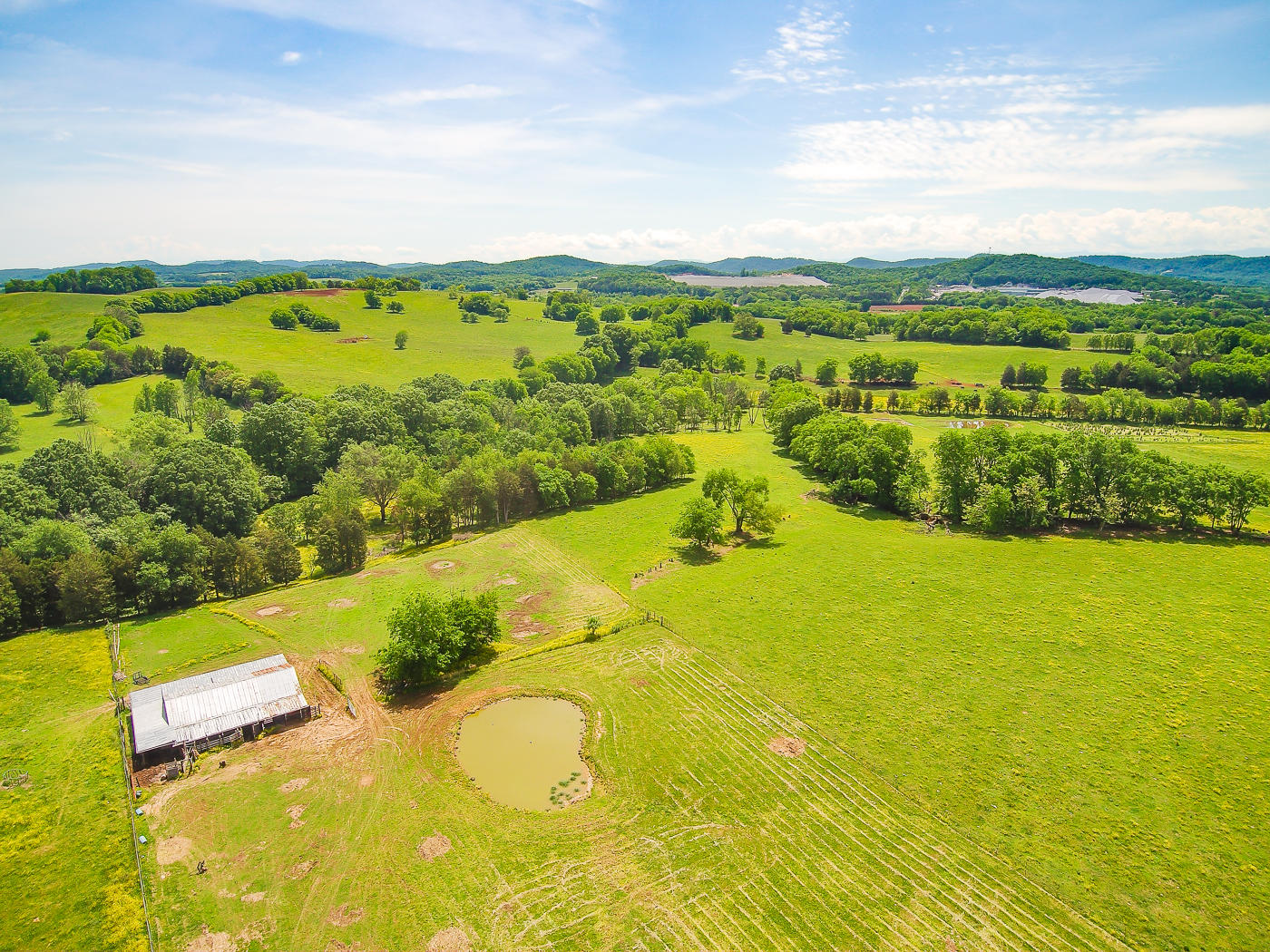 690 Beard Road Strawberry Plains, TN 37871 - Photo 5 of 39 690-Beard-Rd-Strawberry-Plains-TN-45
