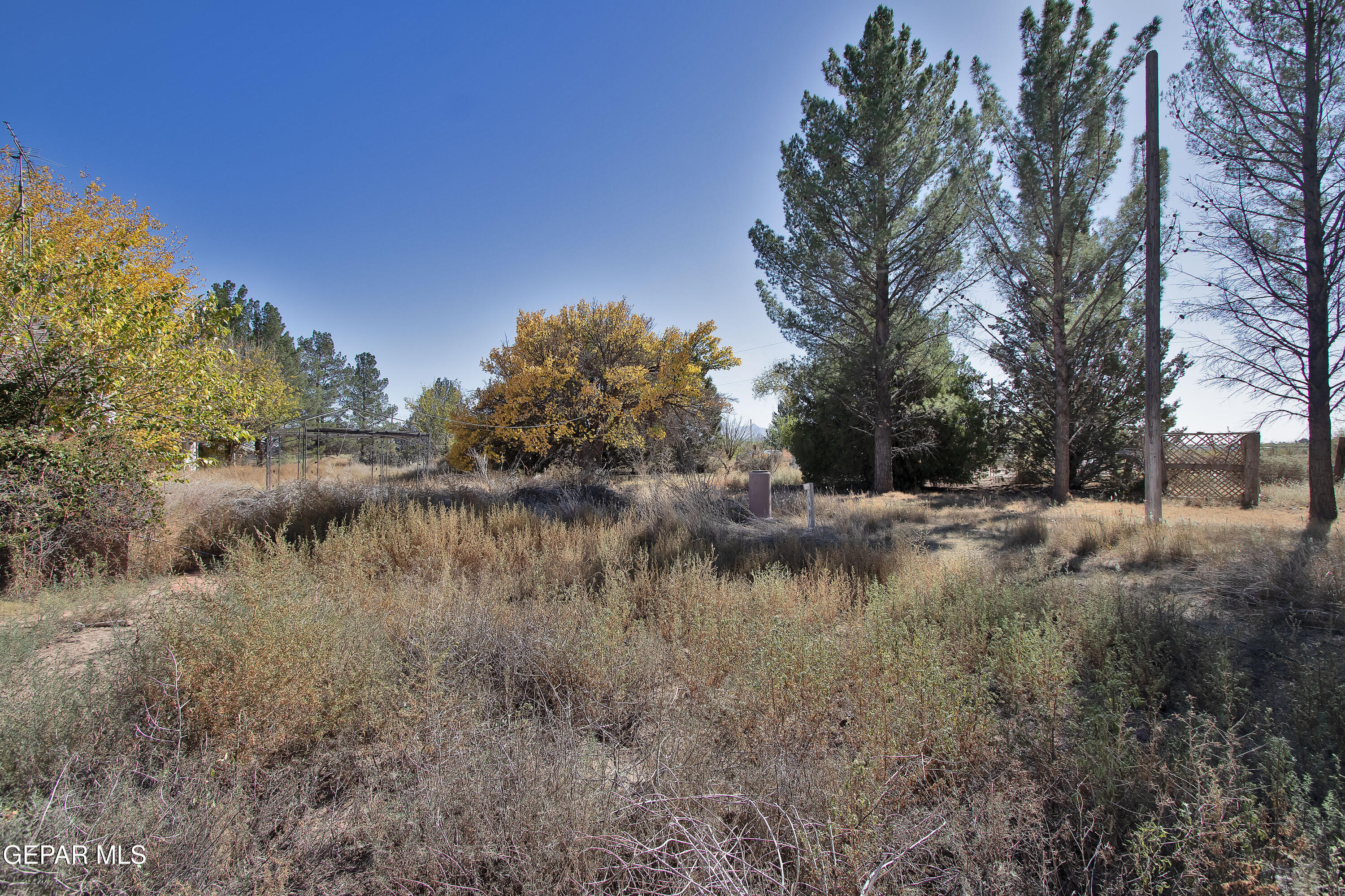 110 Southwest Creosote Road Deming, OUT OF SERVICE AREA 88030 - Photo 82 of 101 Backyard