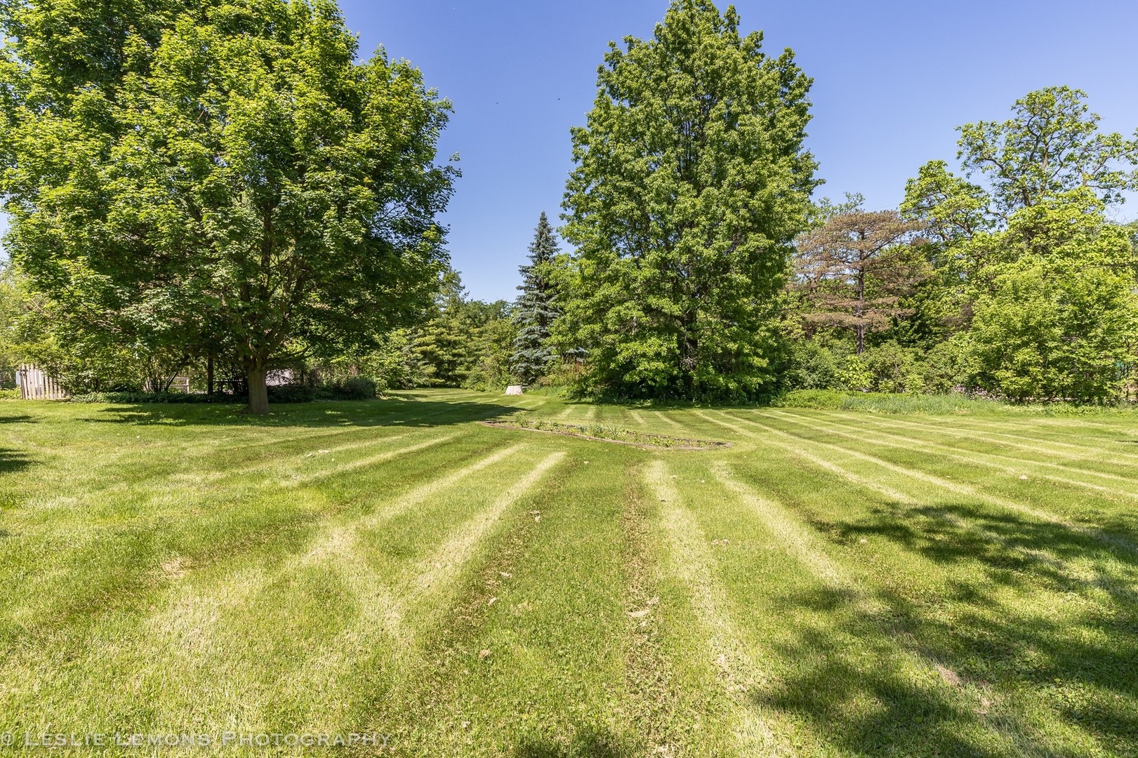 32-w028 Army Trail Road Wayne, IL 60184 - Photo 30 of 39 a view of yard and trees