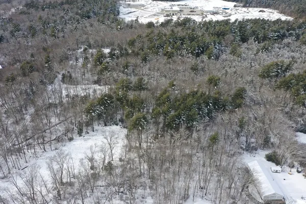 a view of a dry yard with trees