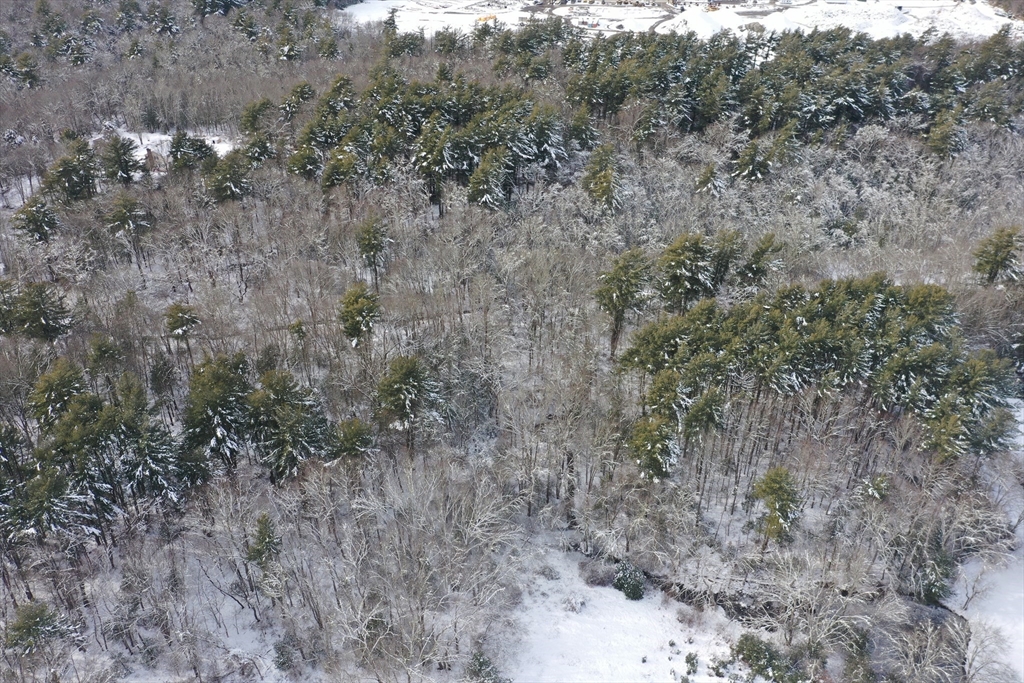 0 Sammy's Lane Assonet, MA 02702 - Photo 6 of 8