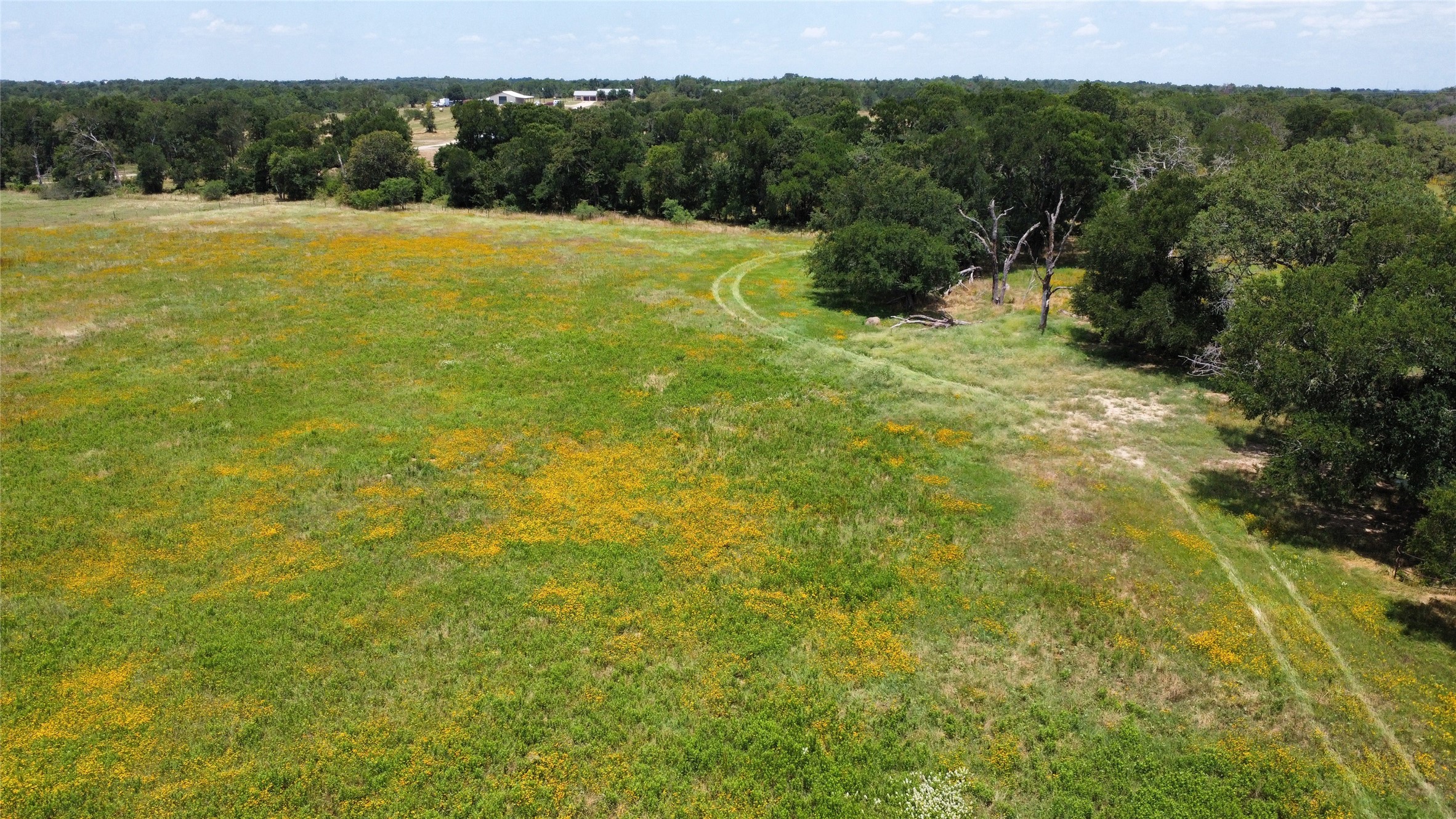 174 Wilson Road, Unit A Elgin, TX 78621 - Photo 31 of 34 a view of an outdoor space and a yard