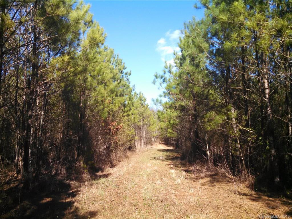 4657 Grace Church Road Newton, NC 28658 - Photo 2 of 9 Gallery Image 2